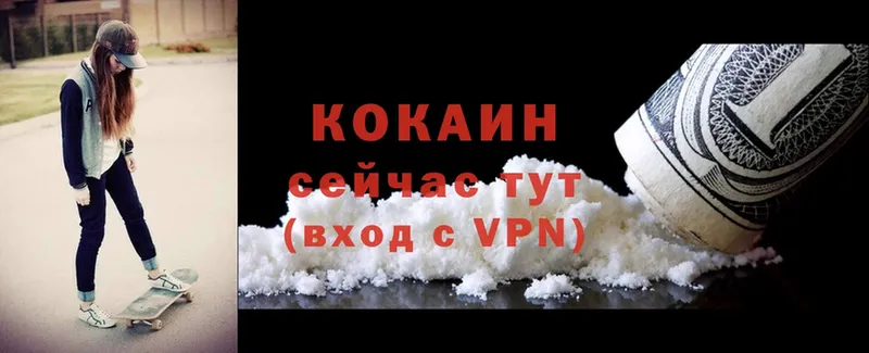 Cocaine FishScale  купить   Соликамск 