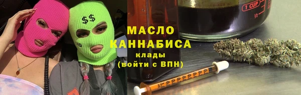 индика Богородицк